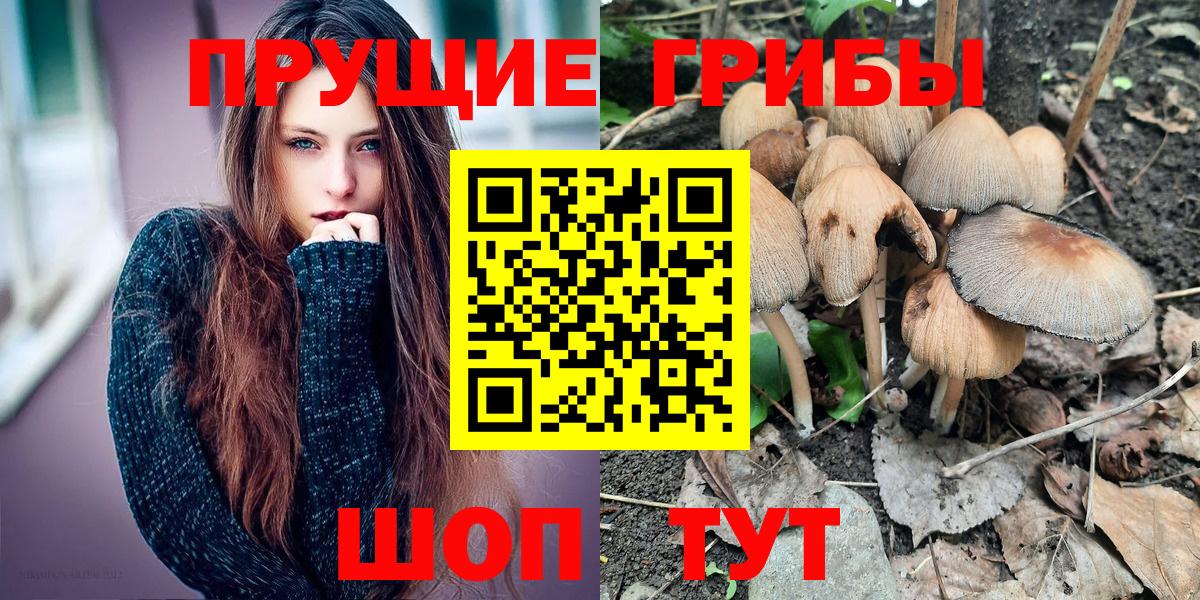 Галлюциногенные грибы Psilocybe  Вход с VPN  Галлюциногенные грибы Magic Shrooms  Александров 